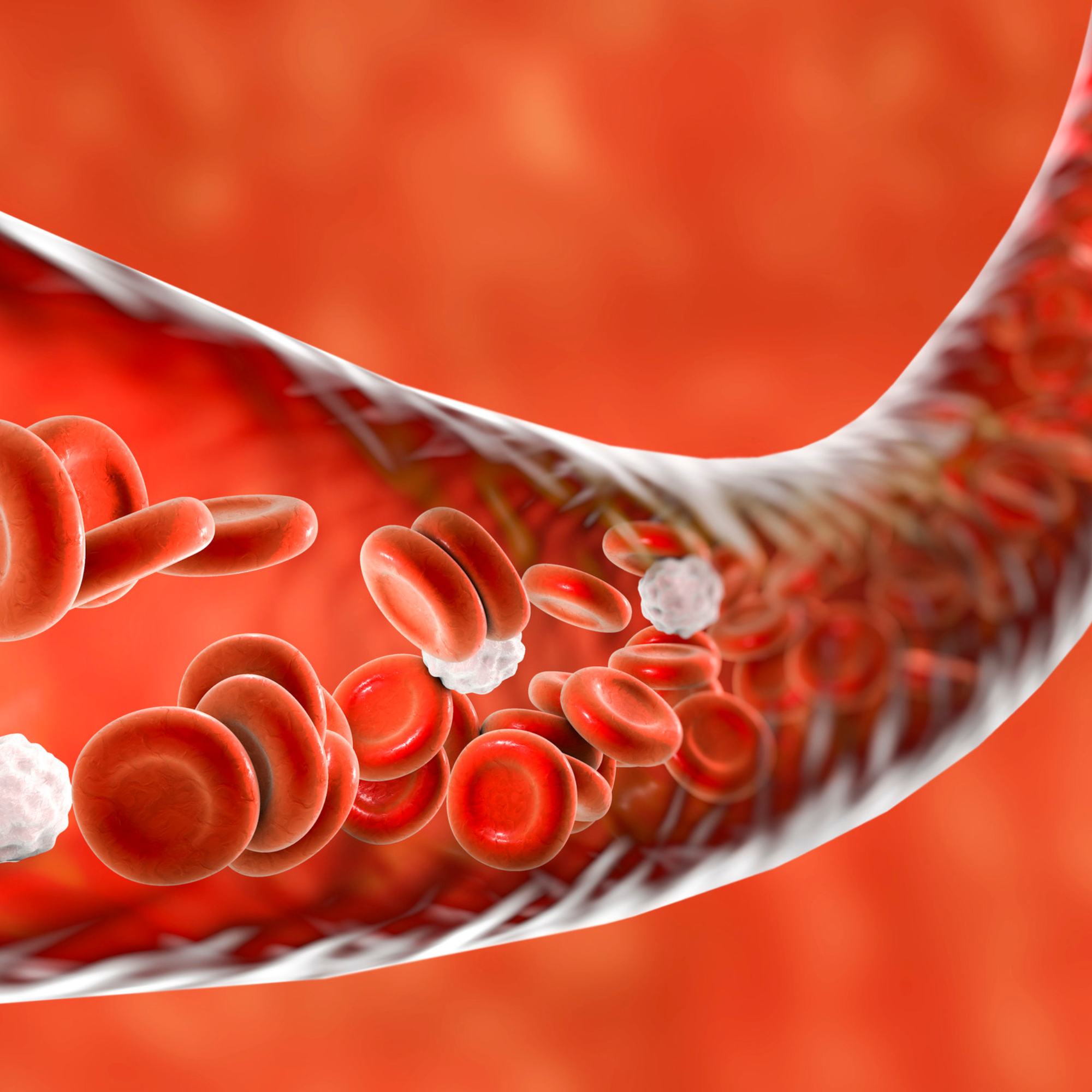 Cholesterol Management