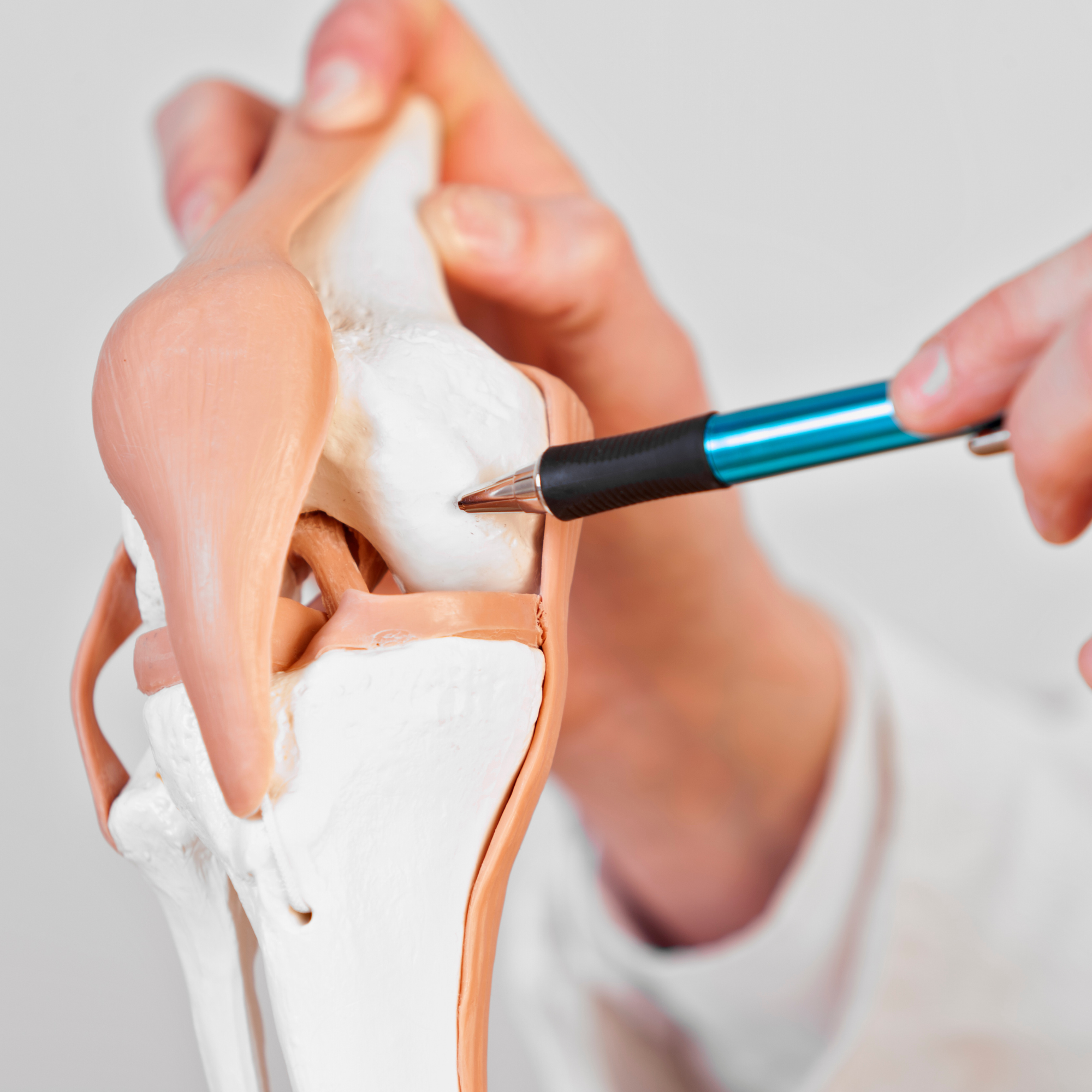 Cartilage Repair